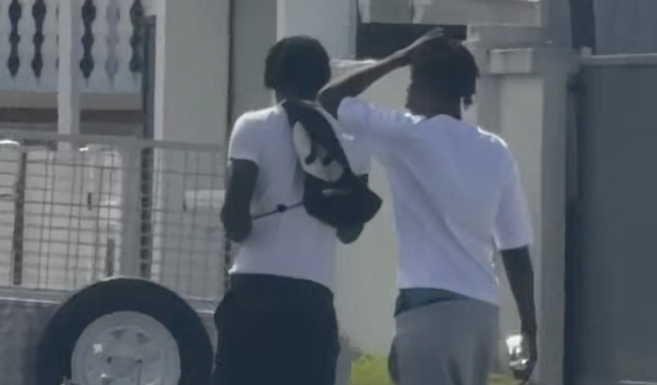 Suspicious Activity in Hollywell: Teens Scouting Cars and Homes