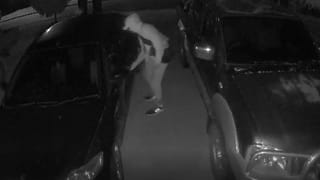 Family Devastated After Daughter’s Ashes Stolen in Break-In
